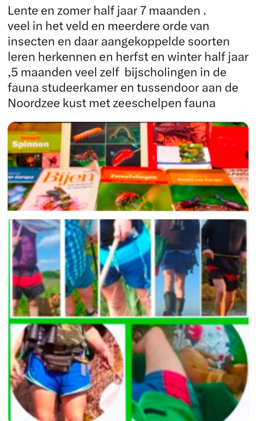 Fauna gaat verder op https://bsky.app/profile/insecten-ecole.bsky.social